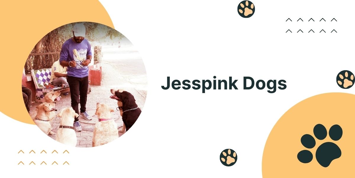 Jesspink Dogs