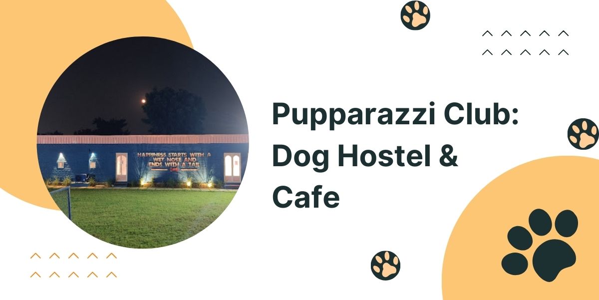 Pupparazzi Club: Dog Hostel & Cafe