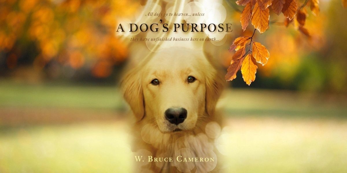 A Dog’s Purpose (2017)