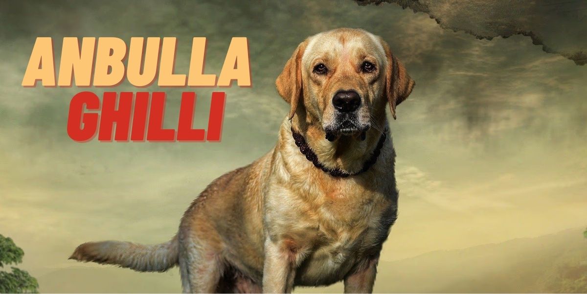 Anbulla Ghilli (2022)