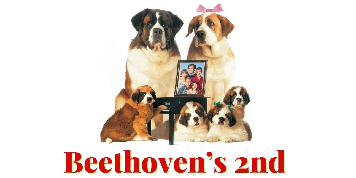 Beethoven’s 2nd (1993)