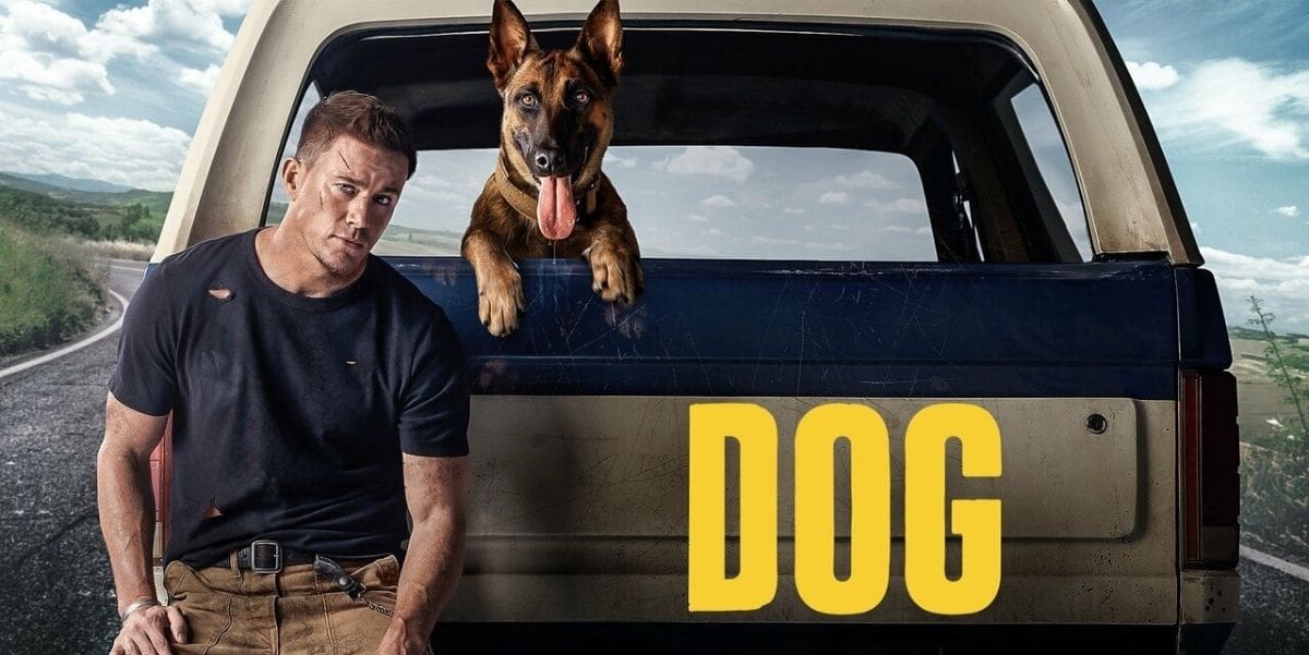 Dog (2022)
