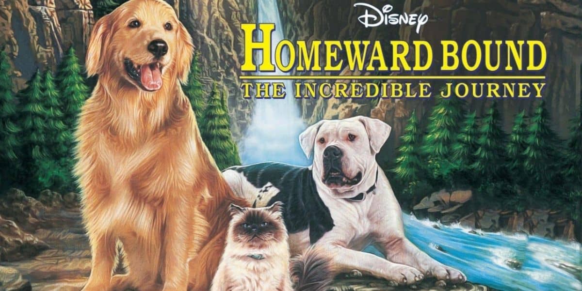 Homeward Bound: The Incredible Journey (1993)