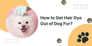 How to Get Hair Dye Out of Dog Fur