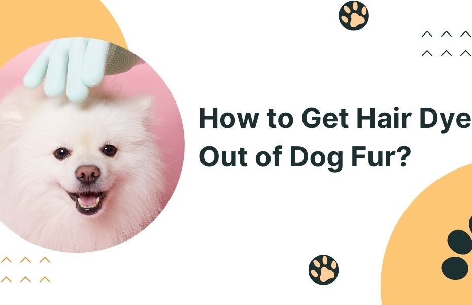 How to Get Hair Dye Out of Dog Fur