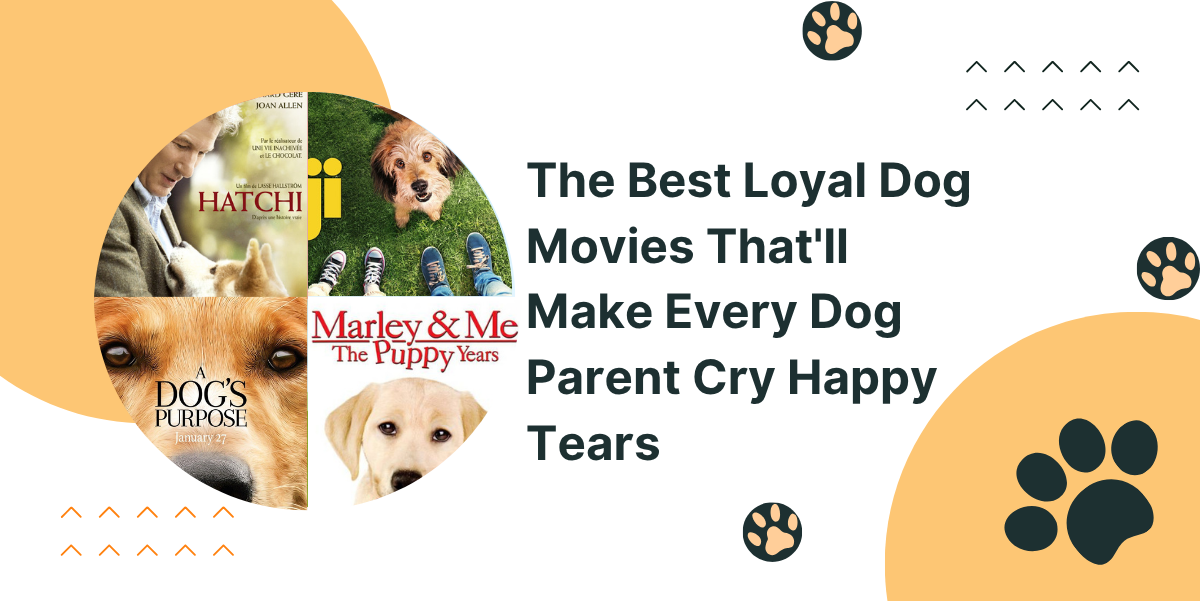 Best Loyal Dog Movies That’ll Make Every Dog Parent Cry Happy Tears