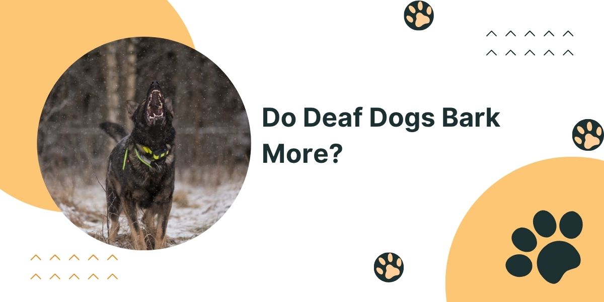 Do Deaf Dogs Bark More?