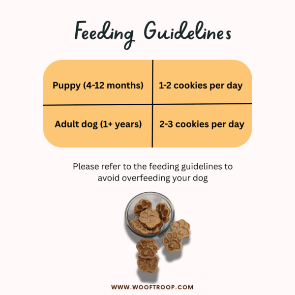 WoofTroop Pumpkin Cookies Feeding Guidelines