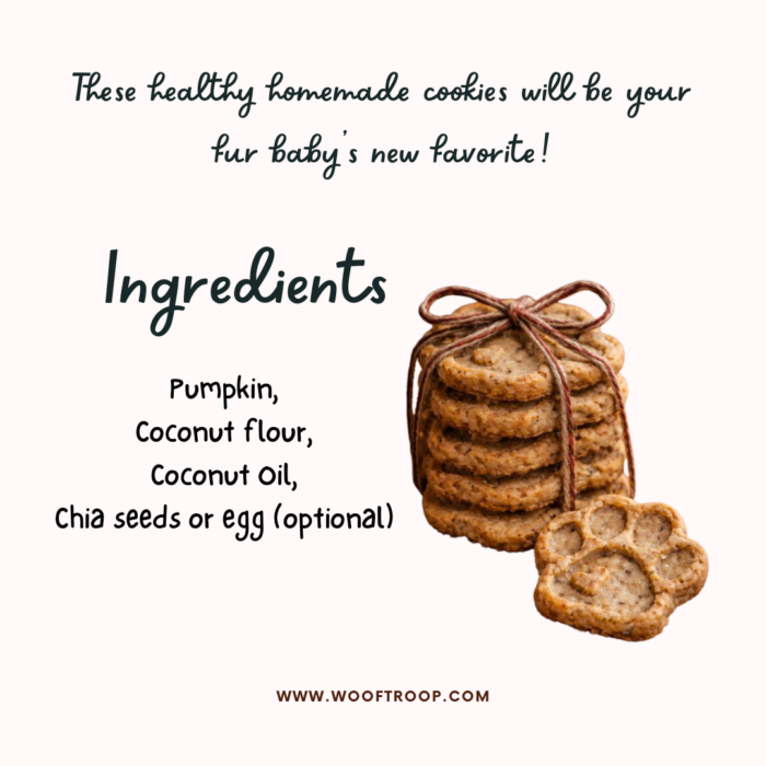 Pumpkin Coconut Cookies