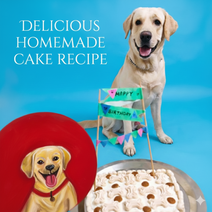 Classic Homemade Dog Birthday Cake